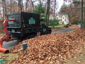 leaf raking leaf removal - Olson Lawncare and Landscaping Twin Cities Andover