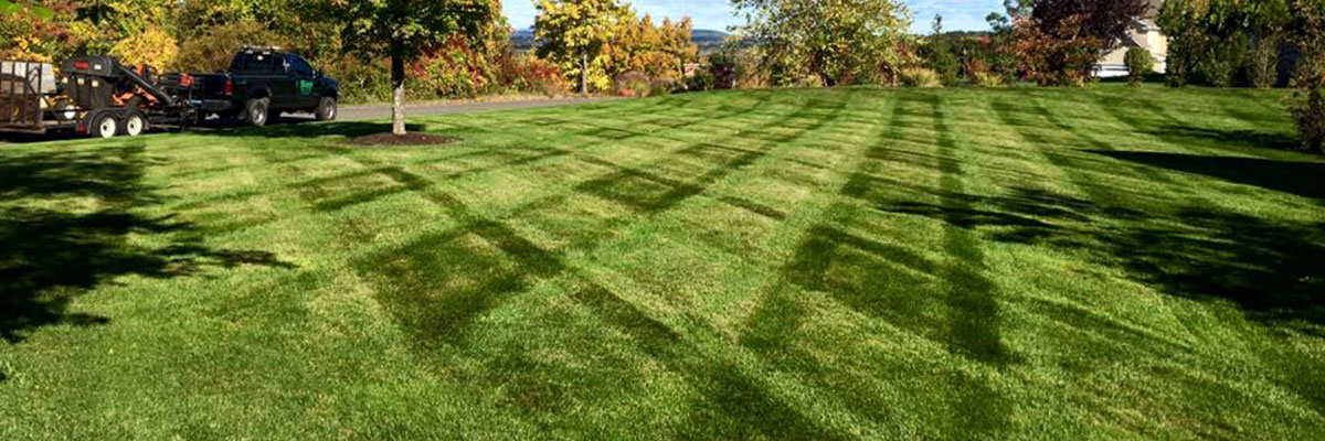 yard work and landscaping - Olson Lawncare and Landscaping Twin Cities Andover