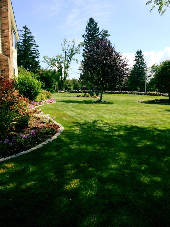 landscaping and yard work - Olson Lawncare and Landscaping Twin Cities Andover