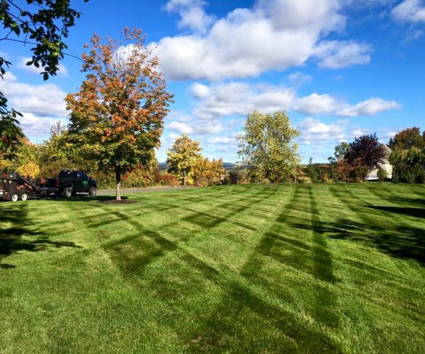 landscaping yard work - Olson Lawncare and Landscaping Twin Cities Andover
