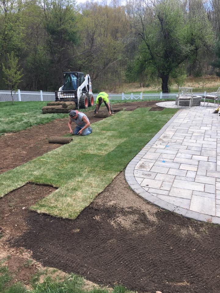 intalling sod - Olson Lawncare and Landscaping Twin Cities Andover